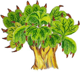 tree1